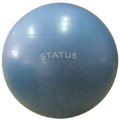 Status Мяч гимнастический Пвх с насосом Fka-30 75 см, голубой